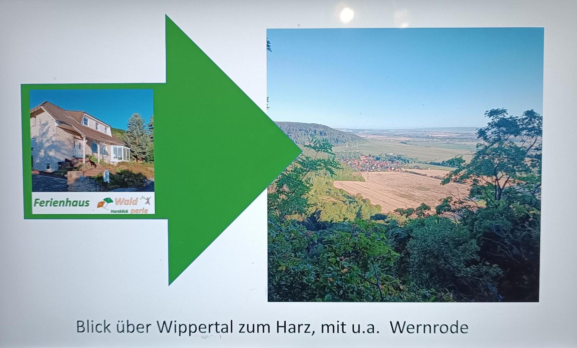 Ferienhaus Waldperle Harzblick Wernrode Exterior photo